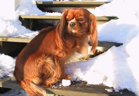 Anni talvitunnelmissa