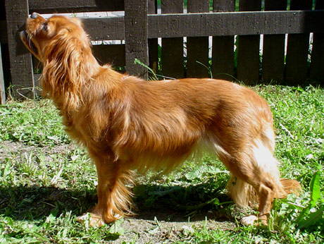 Riina kes�ll� 2003