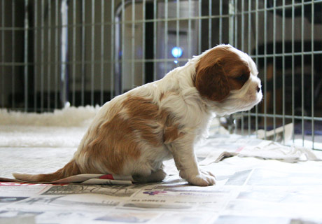 Vilma kolmen viikon ik�isen�