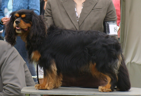 Samu Kaivopuiston n�yttelyss� 26.08.2007