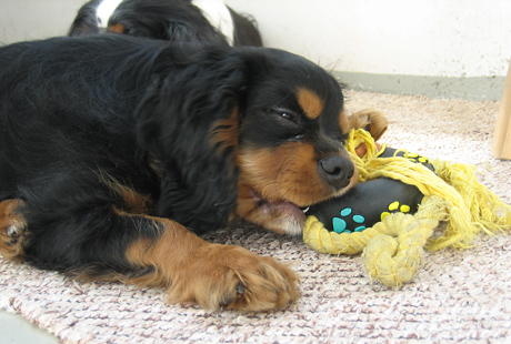 Jesse 3 kk i�ss� (26.4.2008)