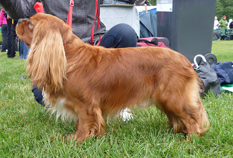 Jeppe Hyvink��n n�yttelyss� 05.07.2009