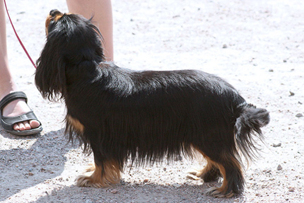 Aino Tuusulan n�yttelyss� 2.7.2011