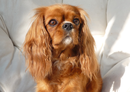 Nata syyskuussa 2008