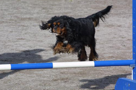 Tessa kisoissa 30.08.2003