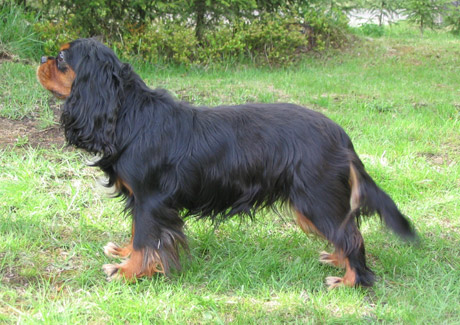 Tessa toukokuussa 2004