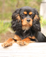 Young Nelli (summer 2008)