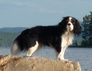 Ilopirtin Xanthippe aka Sani